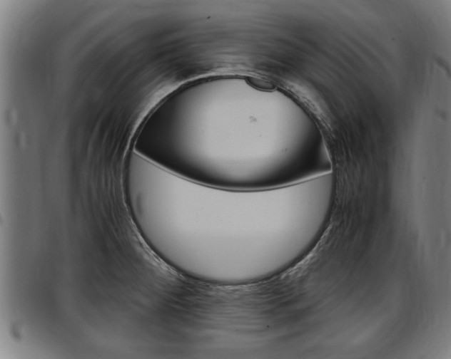 X0000097501284200802220833
