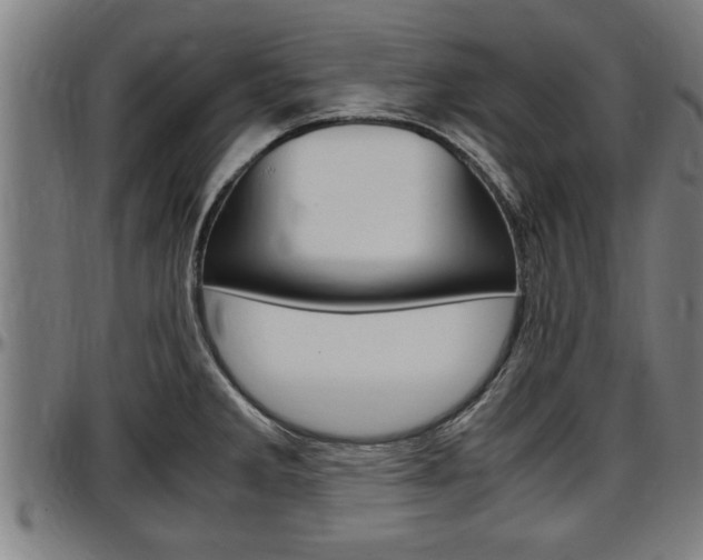 X0000097501285200802220833