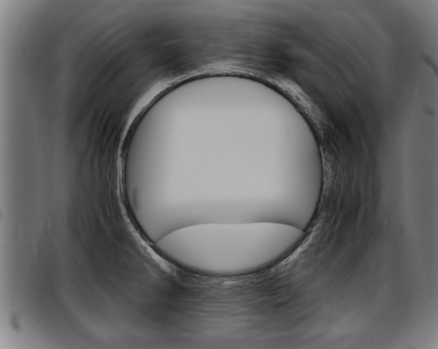 X0000097501286200802220833