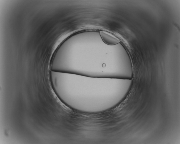 X0000097501287200802220833