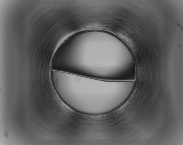 X0000097501288200802220833