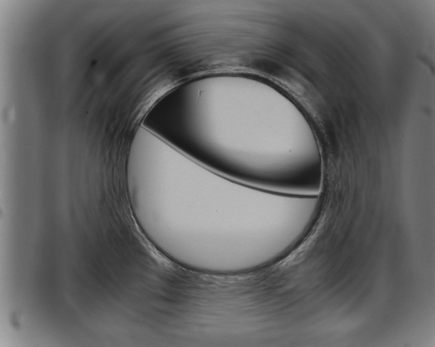 X0000097501289200802220833