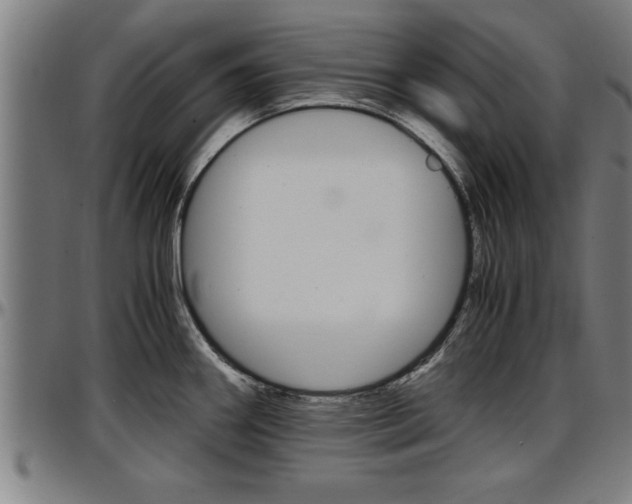 X0000097501290200802220833