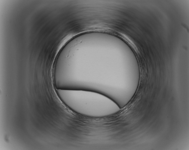 X0000097501291200802220833