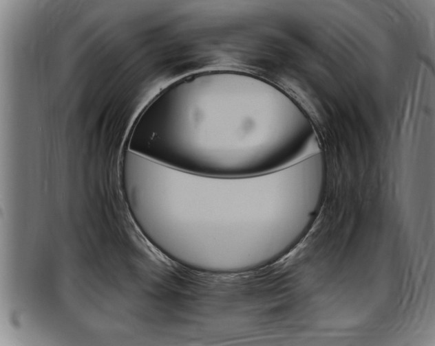 X0000097501292200802220833