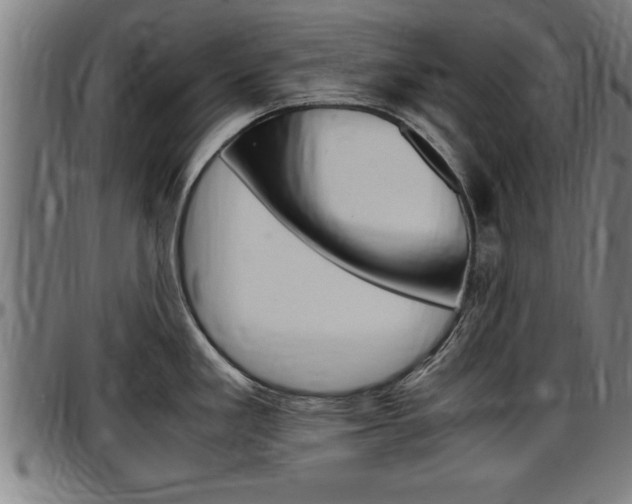 X0000097501293200802220832
