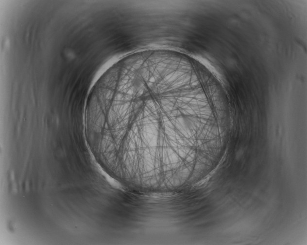 X0000097501294200802220832