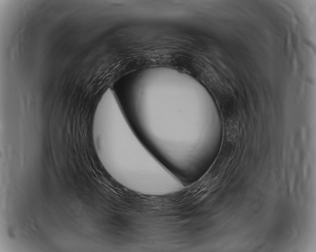 X0000097501298200802220832