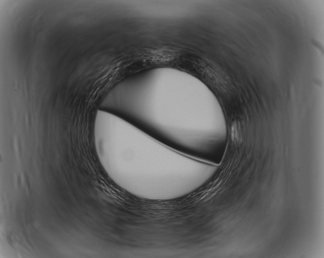 X0000097501299200802220832