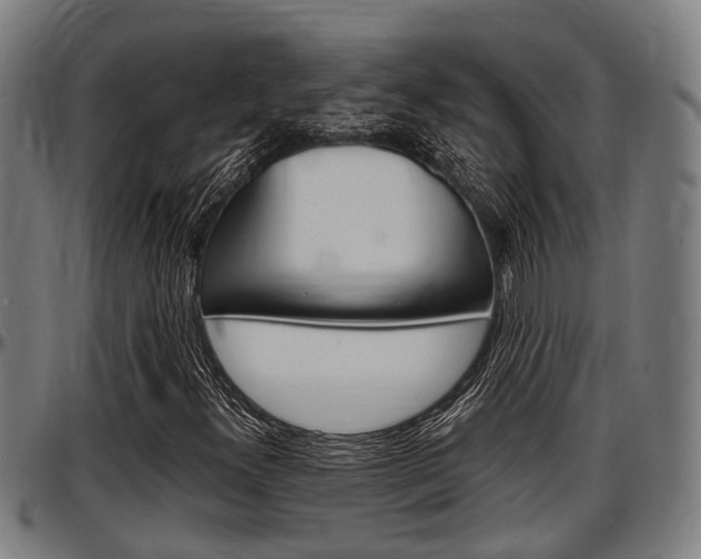 X0000097501300200802220832