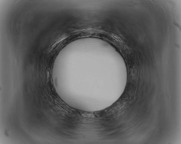 X0000097501302200802220832
