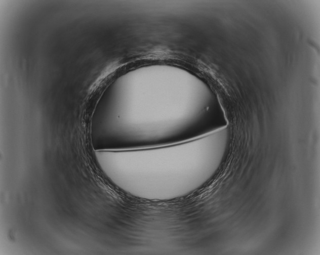 X0000097501304200802220832