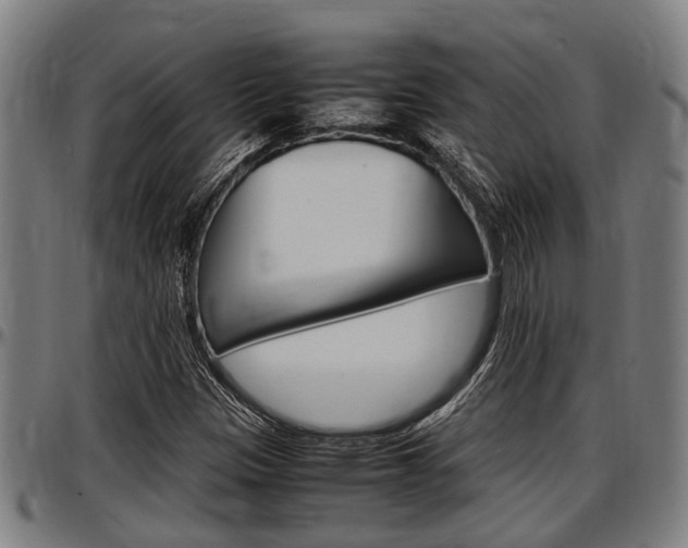 X0000097501305200802220832