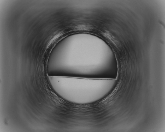 X0000097501307200802220832