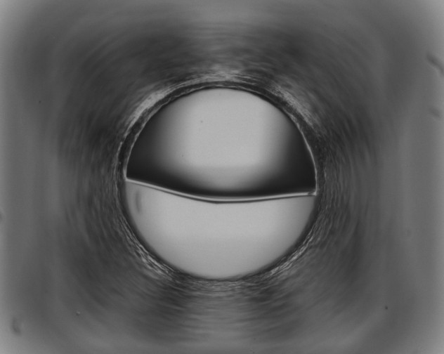 X0000097501308200802220832
