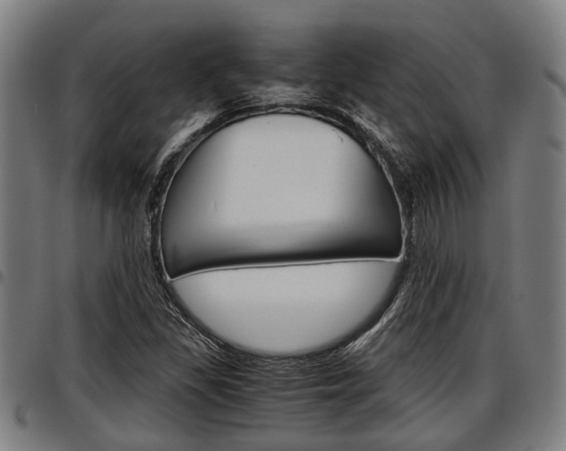 X0000097501309200802220832