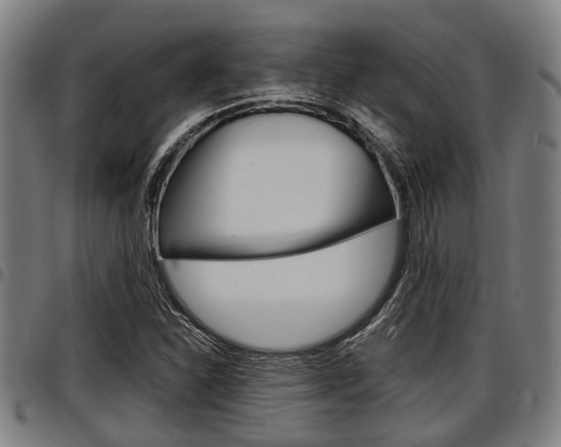 X0000097501310200802220832