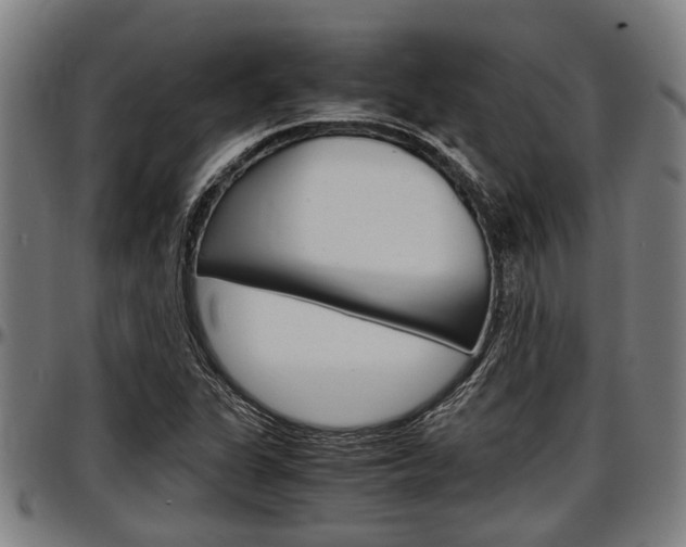 X0000097501311200802220832