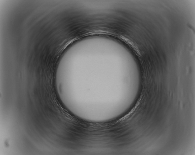 X0000097501313200802220832