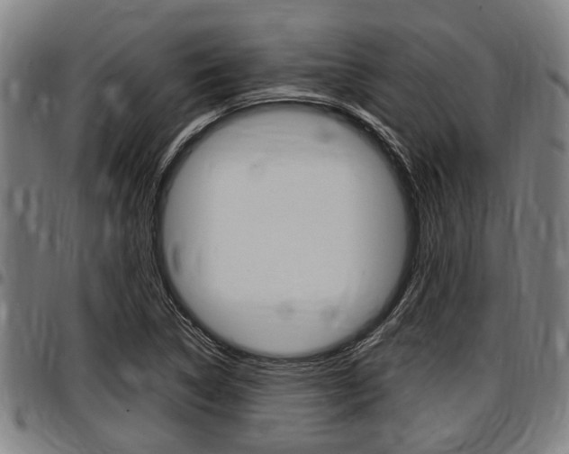X0000097501314200802220832