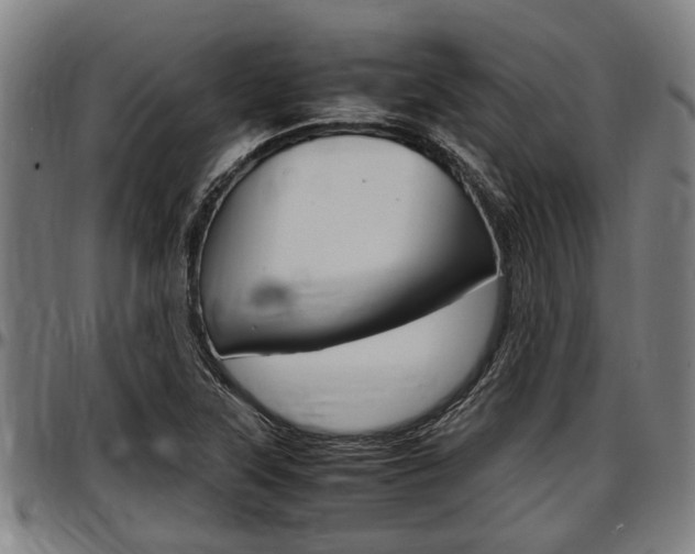 X0000097501315200802220832