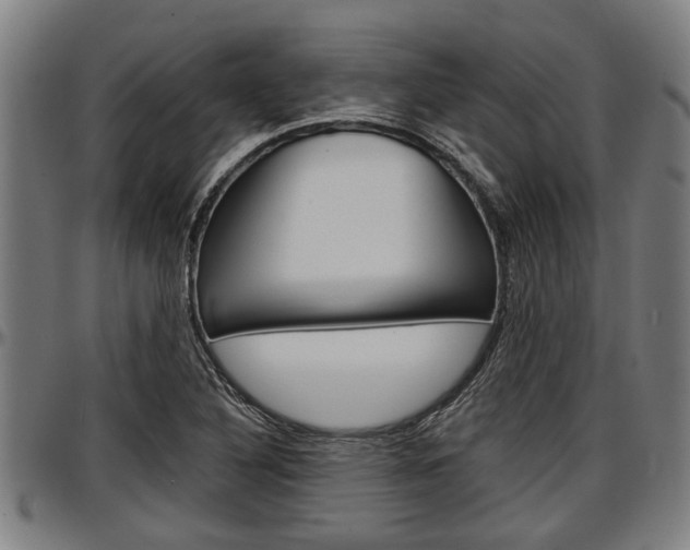 X0000097501316200802220832