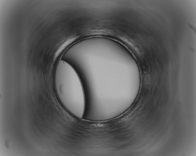 X0000097501317200802220832