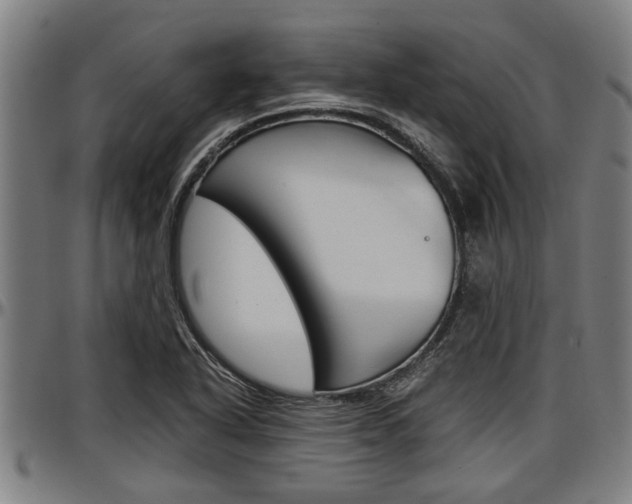X0000097501318200802220832