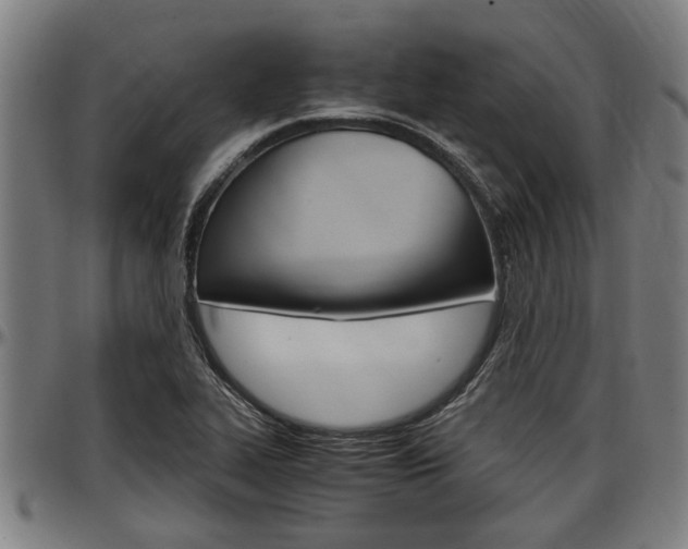 X0000097501319200802220832