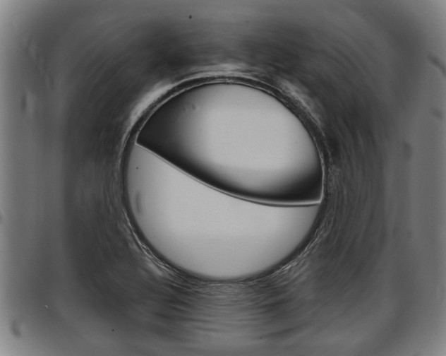 X0000097501320200802220832