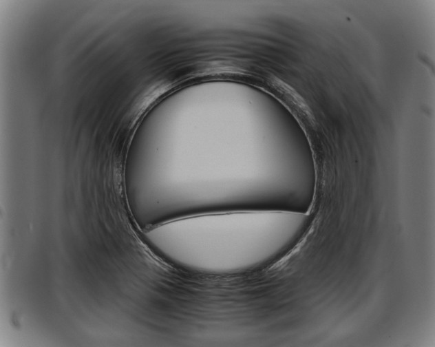 X0000097501321200802220832
