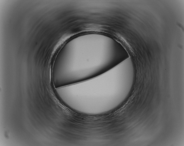 X0000097501323200802220832