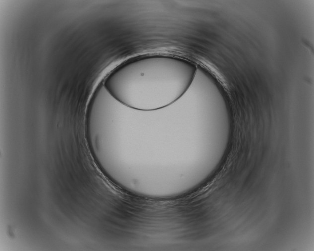 X0000097501324200802220832