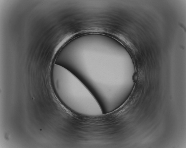 X0000097501325200802220832