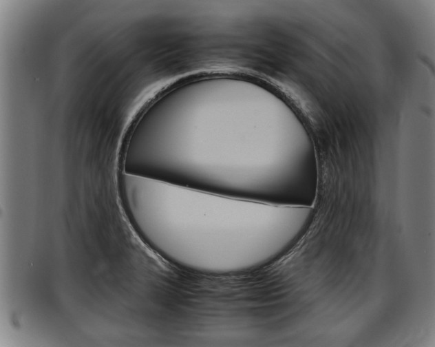 X0000097501327200802220832