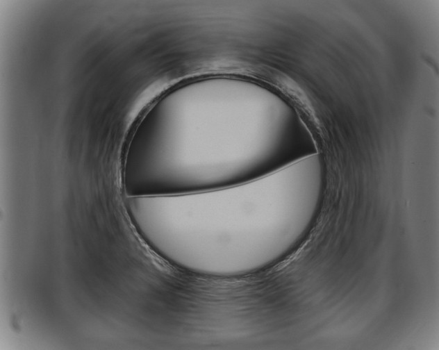 X0000097501328200802220832