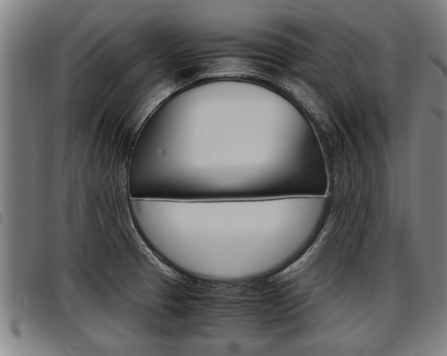 X0000097501329200802220832
