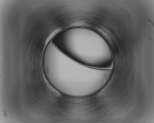 X0000097501330200802220832