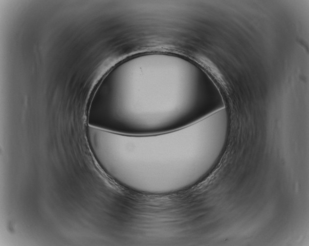 X0000097501332200802220832