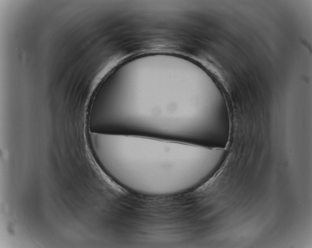 X0000097501333200802220832