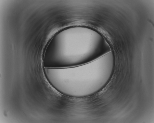 X0000097501334200802220832