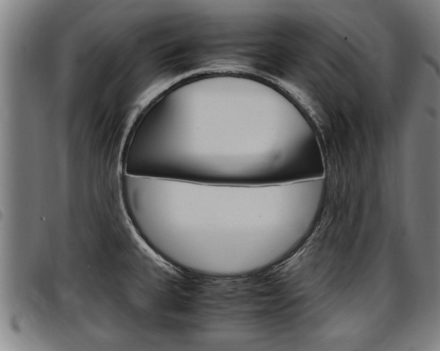 X0000097501335200802220832