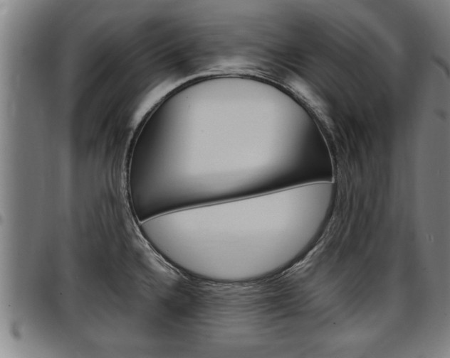 X0000097501336200802220832