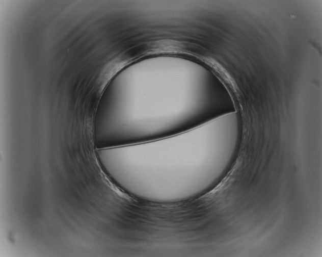 X0000097501337200802220832