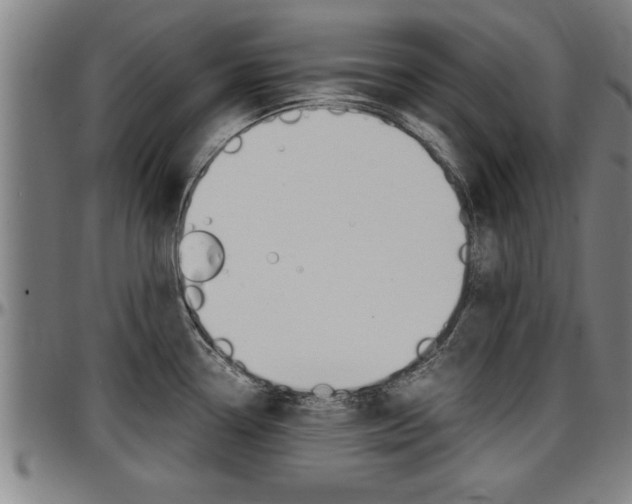 X0000097501338200802220832