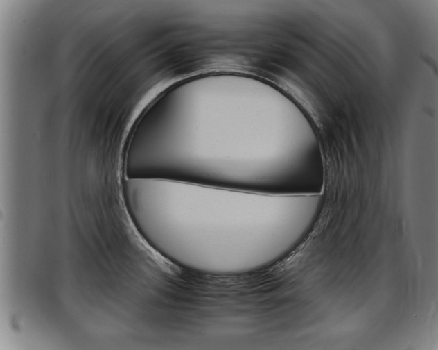 X0000097501339200802220832