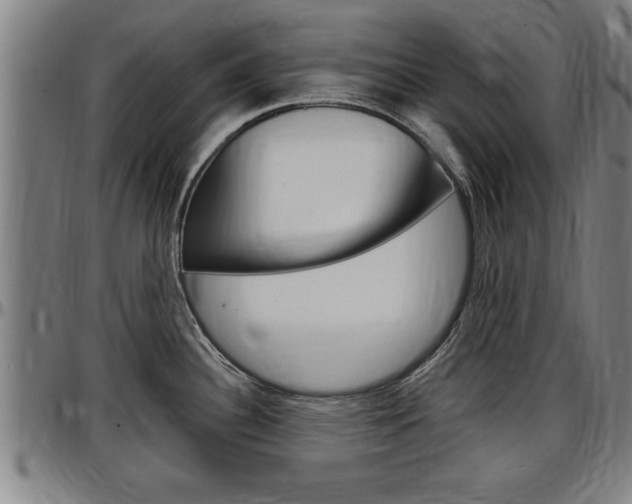 X0000097501340200802220832