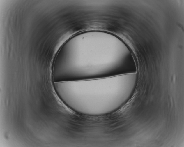 X0000097501341200802220832
