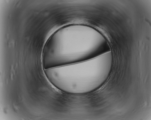 X0000097501343200802220832