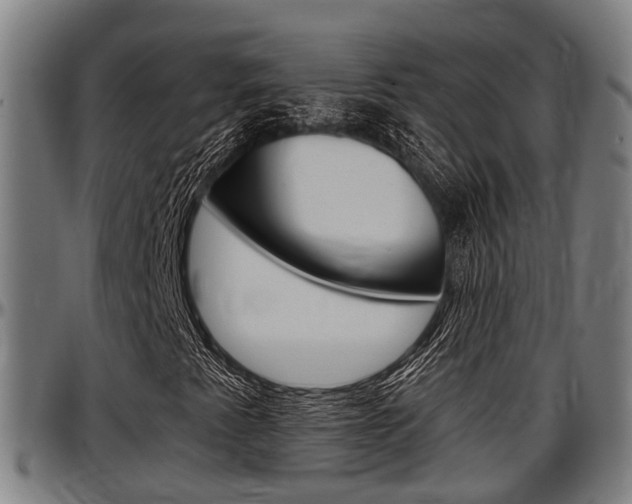 X0000097501345200802220832
